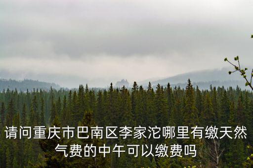 重慶市巴南區圖書館購買知網，重慶市巴南區哪些書店有建筑工具書買