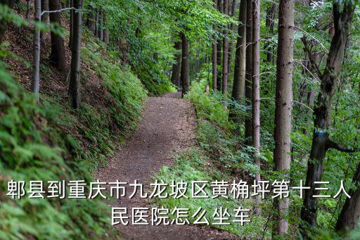 到重慶市十三醫(yī)院怎么走，新牌坊到重慶市十三人民醫(yī)院怎么走