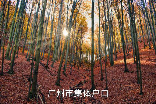 廣州市集體戶口