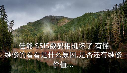  佳能 S5IS數(shù)碼相機(jī)壞了,有懂維修的看看是什么原因,是否還有維修價值...