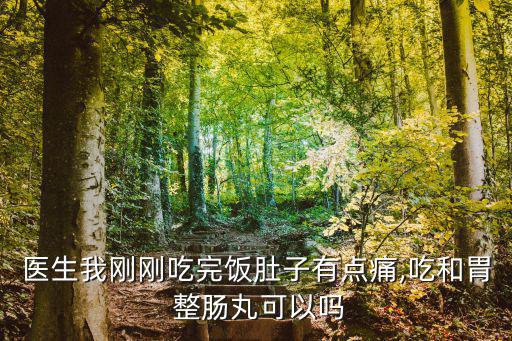 醫生我剛剛吃完飯肚子有點痛,吃和胃 整腸丸可以嗎