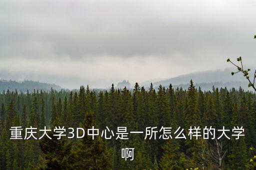 重慶大學3D中心是一所怎么樣的大學啊