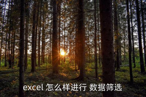 excel 怎么樣進(jìn)行 數(shù)據(jù)篩選
