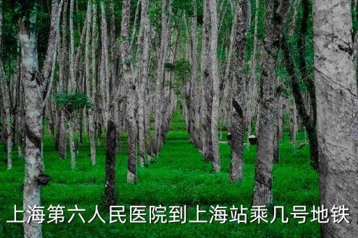 上海市第六人民醫院坐幾號線，上海第六人民醫院到上海站乘幾號地鐵