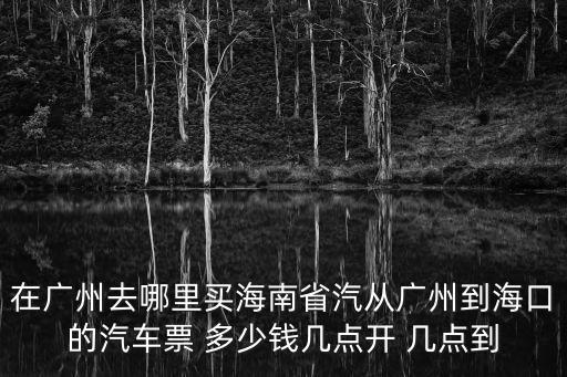 在廣州去哪里買海南省汽從廣州到海口的汽車票 多少錢幾點開 幾點到