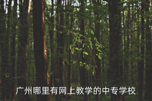 廣州哪里有網(wǎng)上教學(xué)的中專學(xué)校
