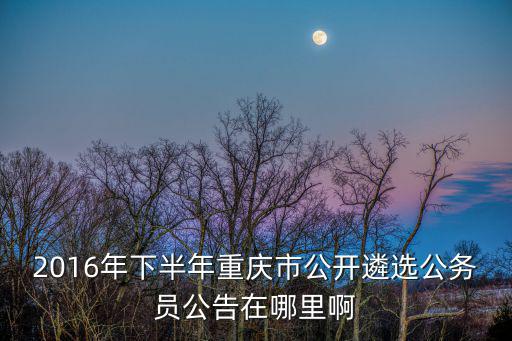 2016年下半年重慶市公開遴選公務員公告在哪里啊