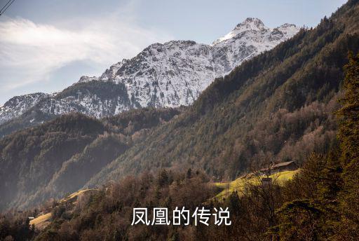鳳凰的傳說,大旱之后所有救命之鳥拔羽毛做鳥衣表謝意