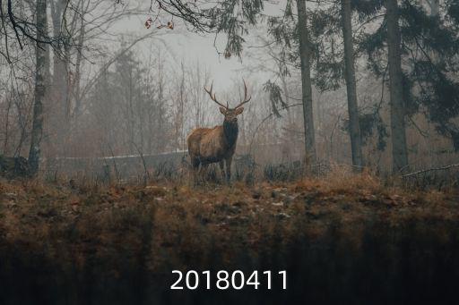 上海市凌新生兒輻射臺(tái)，新生兒輻射臺(tái)使用流程