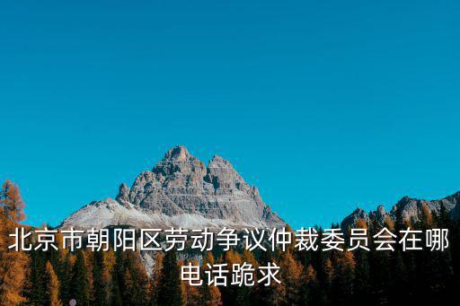 北京市朝陽區勞動爭議仲裁委員會在哪電話跪求