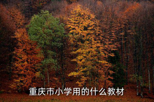 重慶市榮昌區(qū)的的教科書(shū)，重慶市小學(xué)用的什么教材