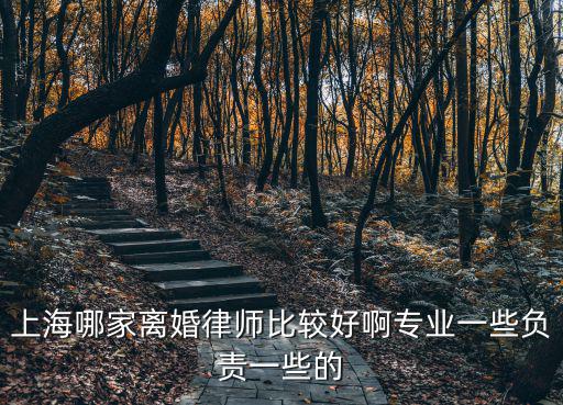 上海哪家離婚律師比較好啊專業一些負責一些的