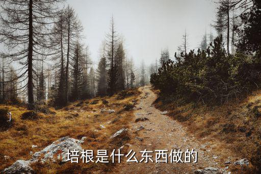  培根是什么東西做的