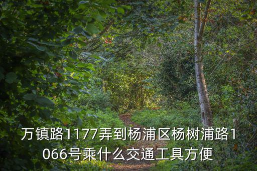 上海市普陀區(qū)萬(wàn)鎮(zhèn)路1177弄，上海市萬(wàn)鎮(zhèn)路1177弄94號(hào)601室屬于什么區(qū)