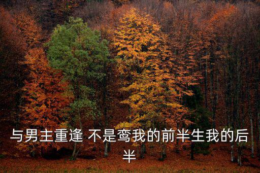 與男主重逢 不是鸞我的前半生我的后半