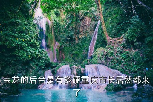 寶龍的后臺是有多硬重慶市長居然都來了