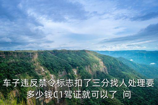 車子違反禁令標(biāo)志扣了三分找人處理要多少錢C1駕證就可以了  問