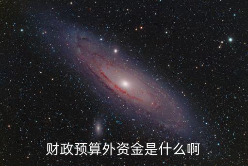 預算外資金，財政預算外資金是什么啊