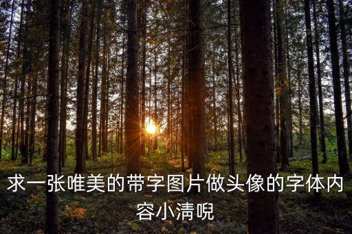 唯美圖片帶字，求空間帶文字的唯美素材圖
