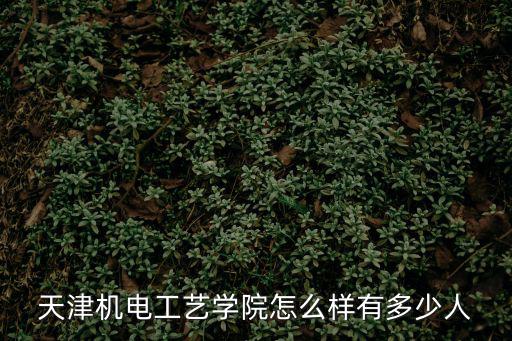 天津機電工藝學院怎么樣有多少人