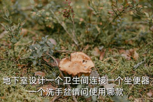 地下室設計一個衛生間連接一個坐便器一個洗手盆請問使用哪款