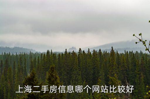 上海二手房信息哪個網站比較好