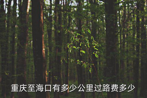 重慶市到海南有多少公里，重慶至海口有多少公里過路費多少