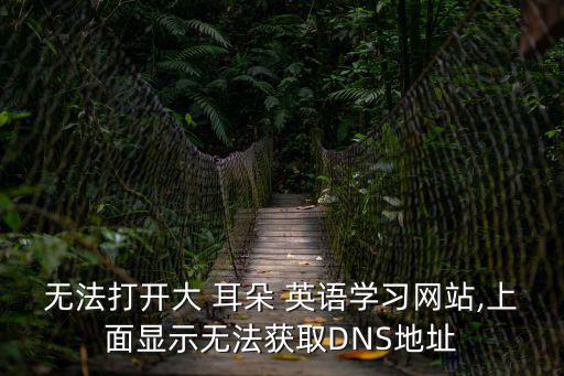 無法打開大 耳朵 英語學習網站,上面顯示無法獲取DNS地址