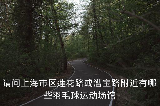 請問上海市區蓮花路或漕寶路附近有哪些羽毛球運動場館