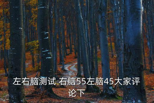 左右腦測試 右腦55左腦45大家評論下