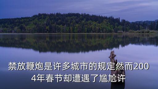 天津市第一個春節禁炮，天津只限放鞭炮而不禁放一些中小城市都禁放了為什么