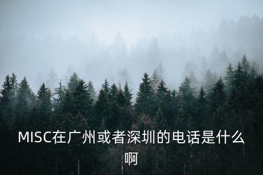 MISC在廣州或者深圳的電話是什么啊