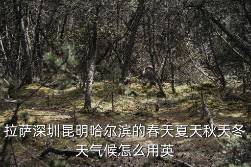 拉薩深圳昆明哈爾濱的春天夏天秋天冬天氣候怎么用英