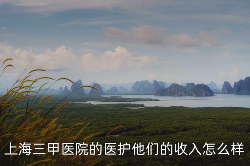 上海三甲醫院的醫護他們的收入怎么樣