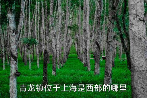 青龍鎮(zhèn)位于上海是西部的哪里