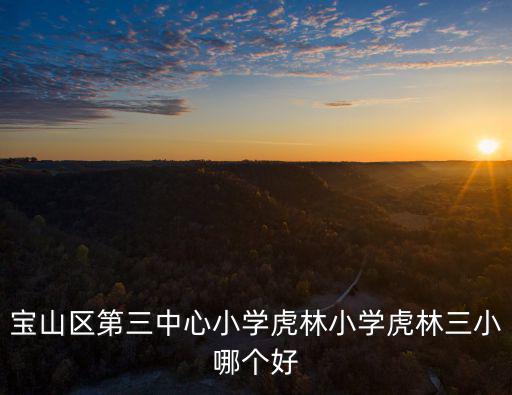 寶山區(qū)第三中心小學(xué)虎林小學(xué)虎林三小哪個(gè)好