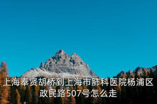 上海奉賢胡橋到上海市肺科醫(yī)院楊浦區(qū)政民路507號怎么走