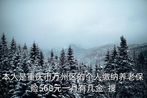 本人是重慶市萬州區的個人繳納養老保險568元一月有幾金  搜