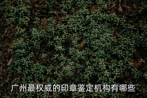 廣州商標房屋鑒定有限公司，廣州最權威的印章鑒定機構有哪些