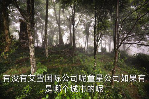有沒有艾雪國際公司呢童星公司如果有是哪個城市的呢