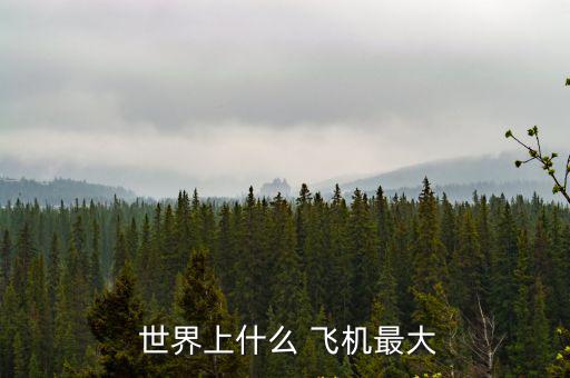  世界上什么 飛機最大