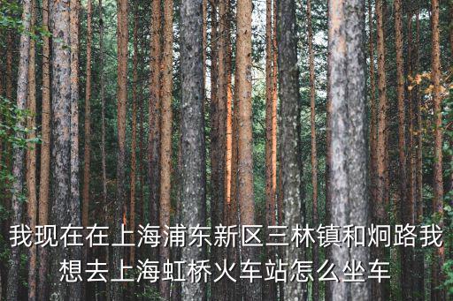 我現在在上海浦東新區三林鎮和炯路我想去上海虹橋火車站怎么坐車