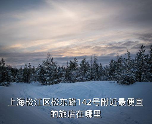 上海市松江區有廬酒店地址，上海松江區松東路142號附近最便宜的旅店在哪里