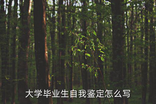 大學畢業生自我鑒定怎么寫