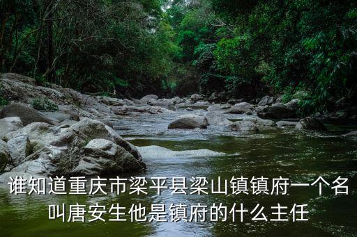 誰知道重慶市梁平縣梁山鎮鎮府一個名叫唐安生他是鎮府的什么主任