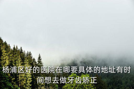 楊浦區好的醫院在哪要具體的地址有時間想去做牙齒矯正