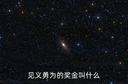 見義勇為的獎金叫什么
