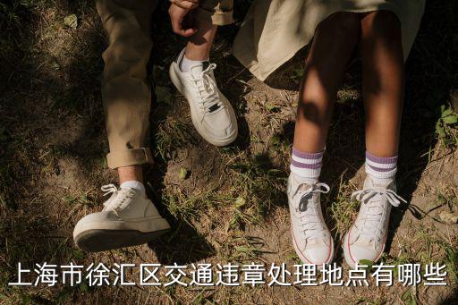 上海市徐匯區長林路，上海市長橋中學在哪里具體位置