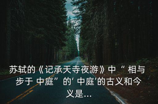 相與步于中庭,《詩經》飄逸內斂:庭院如水晶般清澈透明
