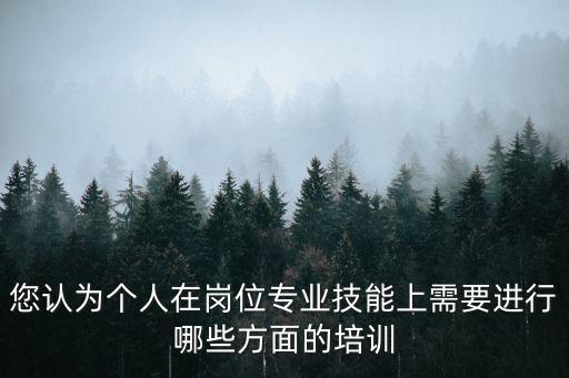 崗位技能培訓，您認為個人在崗位專業技能上需要進行哪些方面的培訓